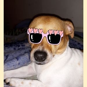 Meet your Posher, Jacki